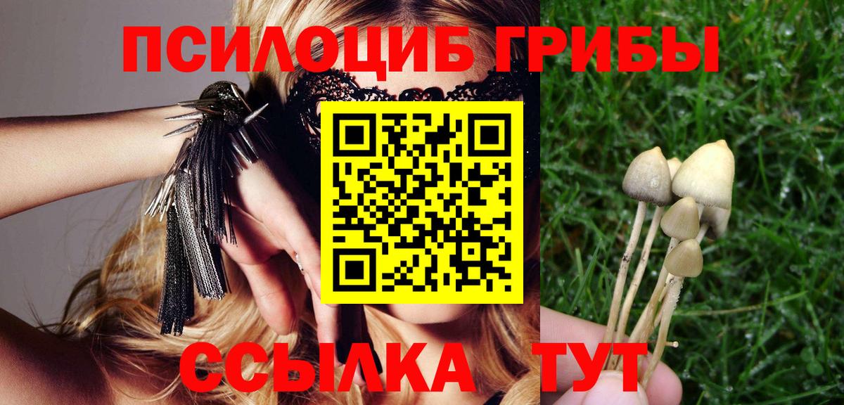 Галлюциногенные грибы Magic Shrooms  хочу   Псилоцибиновые грибы Psilocybe  Черногорск  Вход с VPN 